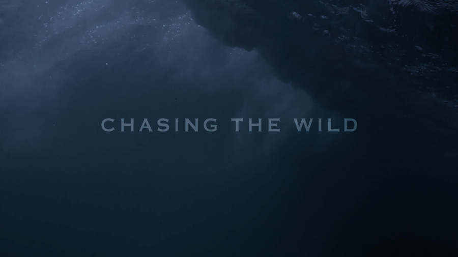 CHASING THE WILD